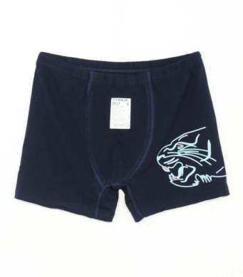 Baykar Боксери Тигър  3917 в Синьо