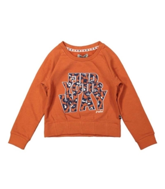 Dj Dutchjeans Блуза F40000 - Image 2