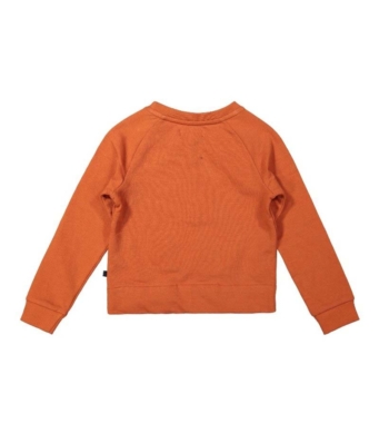 Dj Dutchjeans Блуза F40000 - Image 4