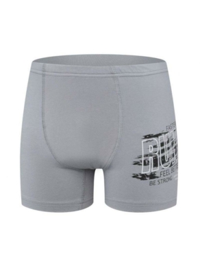 Baykar Боксери в Сиво 3952