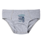 Baykar Слип 3377 в Сиво