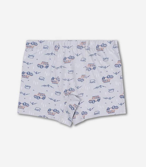 Baykar Боксери за момче 3428 сиво - Image 2