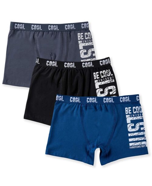 Baykar Боксери 3951 - Image 2