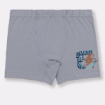 Baykar Боксери 3526 в сиво