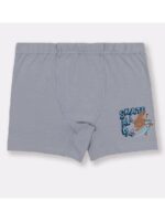 Baykar Боксери 3526 в сиво